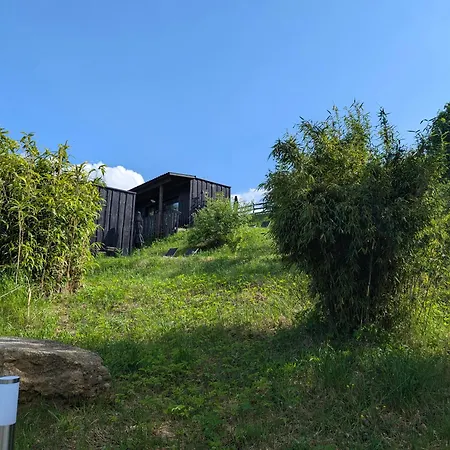 Art-lodge Tinyhouses