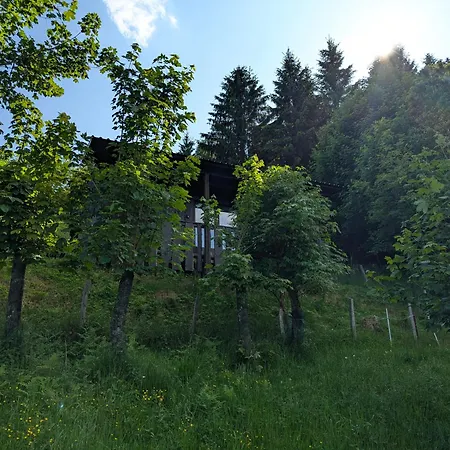 Art-lodge Tinyhouses