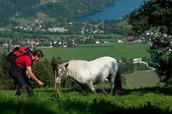 Art-lodge Tinyhouses
