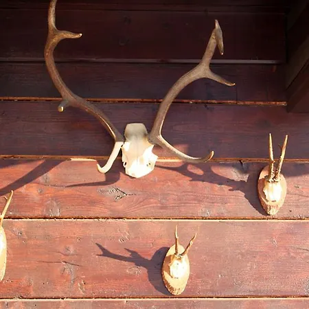 Apartment Art-lodge Kunstpension
