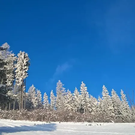 Chalet Art-lodge Tinyhouses Scherzboden