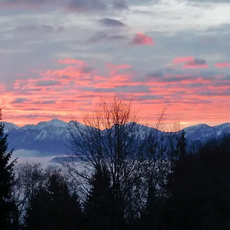 Chalet Art-lodge Tinyhouses