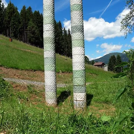 Art-lodge Tinyhouses Scherzboden