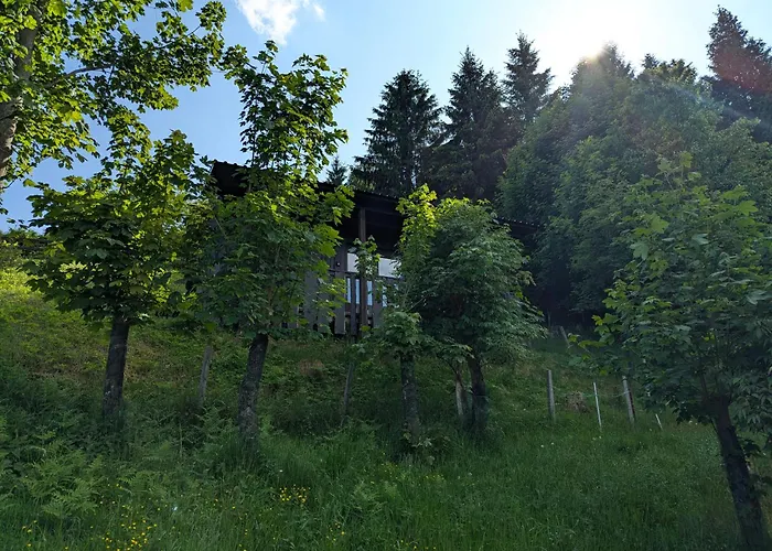 Art-lodge Tinyhouses