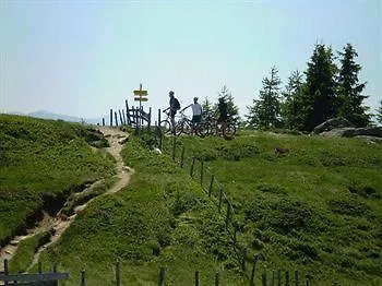 Chalet Art-lodge Tinyhouses