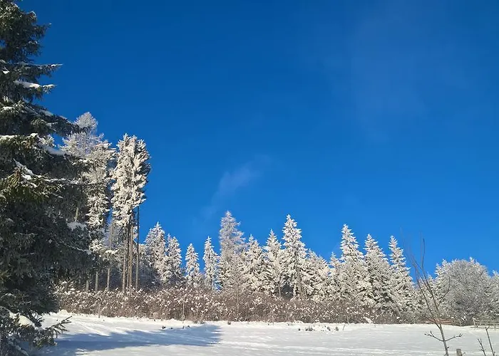 Chalet Art-lodge Tinyhouses Scherzboden
