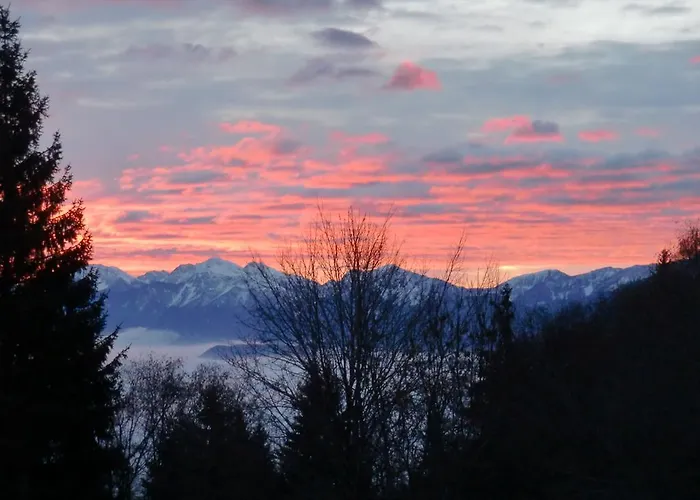 Chalet Art-lodge Tinyhouses